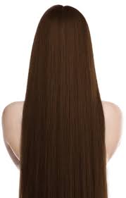 Finden sie mehr informationen zu ihre suche auf searchandshopping.org für deutschland. 4 Schokoladebraun 40 Cm Bondings