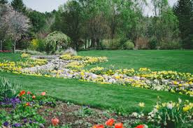 Maybe you would like to learn more about one of these? Tulip Festival Thanksgiving Point Lehi The Salt Project