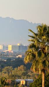 Hope you will like our premium collection of phoenix arizona wallpapers backgrounds and wallpapers. Iphone Wallpaper Phoenix Arizona 750x1334 Wallpaper Teahub Io