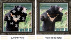 Moon bears at animals asia's sanctuaries love christmas time! Adopt A Moonbear 2018 November