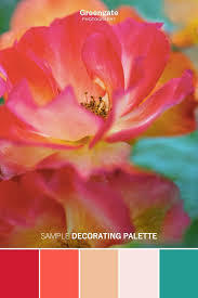 Knitting Patterns Combine Palette Colorpalette Color Wallart Photography Colors Homepcorop Flower Prints Art Color Schemes Color Schemes Colour Palettes