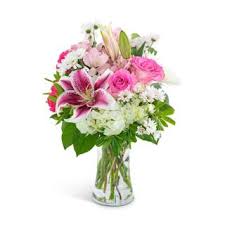 Whitley's flowers is family owned and operated. Best Sellers Flower Delivery Jackson Ms Whitley S Flowers Jackson Ms Best Sellers Flowers