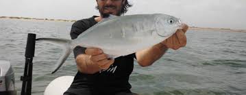 Varios bañistas resultaron con heridas . La Pesca De La Palometa Blanca A Spinning Revista De Pesca Deportiva Coto De Pezca