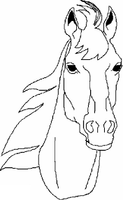 Maak een gratis website met jouwweb. 29 Ideeen Over Paardenkampje Kleuters Paard Knutselen Knutselen Sinterklaas Paardenhoofd