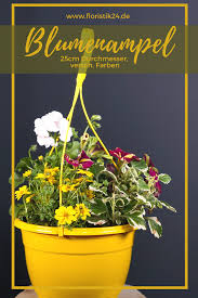 Blumenampel Bepflanzung Verschiedene Farben Balkondeko Gartendeko In 2020 Bepflanzung Blumen Ampel Pflanzen