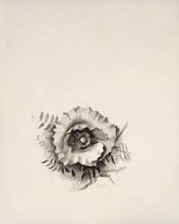 Georgia O Keeffe Small Poppy With Vine Ii C 1927 Georgia O Keeffe Paintings O Keeffe Georgia O Keeffe