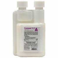 Captured 4 cockroaches 3 large cockroaches + 1 small subscribe my channel for more. Tempo Dust 1 Bed Bug Roach Killer Bayer Tempo Insecticide Dust Not For Ca Ny Ct Ebay