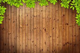 Stock.adobe.com has been visited by 1m+ users in the past month Green Leaf Frame Wood Background Leaf Frame Wood Background Background