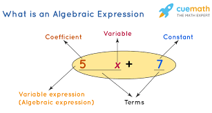 In this question, a response is graded Algebraic Expression Definition Examples And Formulas Cuemath