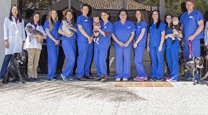 In st petersburg and pinellas county fl. Veterinarians In San Diego Ca Vca Pacific Petcare Animal Hospital