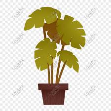 Pasu bunga tinggi = rm 60 (1.5kg). Tumbuh Tumbuhan Daun Bunga Besar Daun Pasu Gambar Unduh Gratis Imej 611376197 Format Psd My Lovepik Com