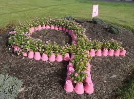 Each colored ribbon is for a separate cause. Pin On Tickled Pink