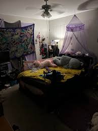 Orlando Roommates: Rooms For Rent, Apartments, and Rentals