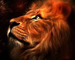 We believe in helping you find the product that is right. 40 Most Impressive Abstract 3d Wallpapers Hdwallpapersz Net Lion Art Lion Wallpaper Lion Images