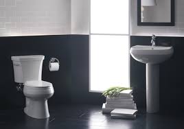 kohler wellworth toilets & sinks