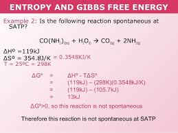 Note that this relationship does not give any information about the rate of reaction, since that is dependant on the height of the energy barrier of reaction (the. 170 Questions With Answers In Gibbs Free Energy Science Topic