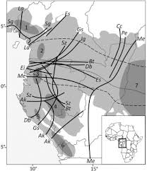 Image result for Afrostyrax kamerunensis