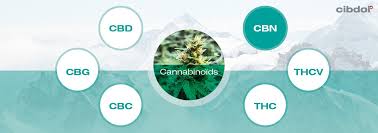 Cbd and cbn are two cannabinoids found in cannabis plants. Was Ist Cbn Cannabinol Cibdol