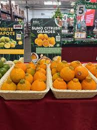 Image result for Citrus Gold 2001 Puma