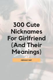 Cute pet names for boys. 300 Cute Nicknames For Girlfriend And Their Meanings