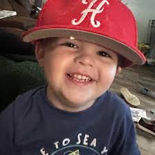 Ima Survivor Donkey and Farm Animal Sanctuary