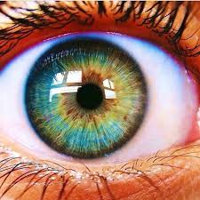 Ali Adli Kullanicinin Eyes Panosundaki Pin Goz Boyama Yesil Gozler Gozler