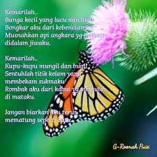 Contoh Puisi Kupu Kupu Kumpulan Puisi