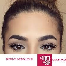 Pigmentacion Semipermanente De Cejas En Henna Este Espectacular Servicio Ha Llegado Para Garantiz Cejas Perfectas Cejas Tatuadas Maquillaje De Cejas Natural
