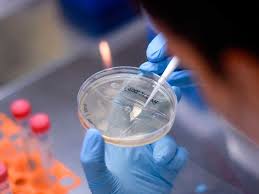One led to 62% efficacy and. Coronavirus Astrazeneca Ready To Supply Potential Vaccine In September World Gulf News