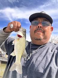 catching catfish while fishing