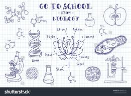 Biology Hand Sketches On The Theme Of Biology Note Book Page Paper Vector Illustration Sponsored Theme Biology Sketches Biolog In 2020 Hand Sketch Biology Doodles
