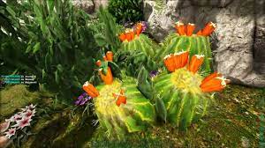 Ark extinction sap, i show you the how to get sap, how to farm tree sap on the ark extinction map subscribe to nooblets. Ark Valguero 1 Sa I Kaktusy Youtube