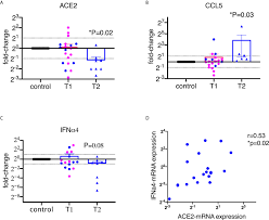 In a split second, this silver ufo shoots by a helicopter in boqueron, puerto rico, after hurricane maria. Frontiers Sars Cov 2 Spike Protein Suppresses Ace2 And Type I Interferon Expression In Primary Cells From Macaque Lung Bronchoalveolar Lavage Immunology