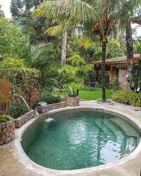 Pin By Damian Rivera On Decor Jardins Varandas E Churrasqueiras Backyard Pool Landscaping Backyard Pool Small Pool Design