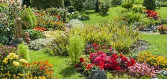It's a suitable, thriving butterfly habitat filled with colorful blooms, bounds of nectar, caterpillar food, puddling stations, shelter, and even scrumptious fruits. Butterfly Landscape Design Gardens In Sacramento