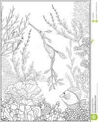 We did not find results for: Coral Reef Coloring Pages For Adults Novocom Top