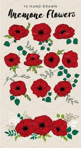 Hand Drawn Anemone Flowers Flower Drawing Design Anemone Flower How To Draw Hands