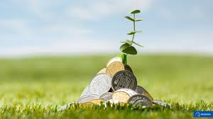 Menjadi seorang pengusaha merupakan impian banyak orang. Terapkan 4 Cara Menjadi Kaya Ini Untuk Hasil Yang Nyata Akseleran Blog