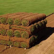 Maybe you would like to learn more about one of these? Super Sod Youtube