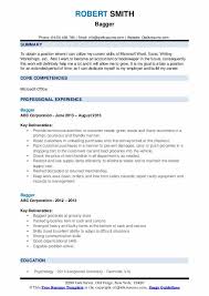 bagger resume samples qwikresume
