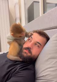 Monkey Swinging Skin Care