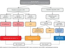 Randomized Trial Comparing Ferric Carboxymaltose Vs Oral Ferrous Glycine Sulphate For Postoperative Anaemia After Total Knee Arthroplasty British Journal Of Anaesthesia