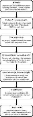 Affibody Molecule Wikivisually