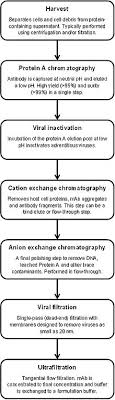 affibody molecule wikivisually