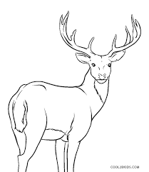 Coloring pages are fun for children of all ages and are a great educational tool that helps children develop fine motor skills, creativity and color recognition! Free Printable Reindeer Coloring Pages For Kids