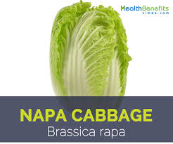 After that, thoroughly shake the cabbage in the. Napa Cabbage Facts And Health Benefits