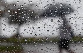 Am d7 c#m f#7 g#m c#m f#7 g#m chove chuva, chove sem parar, chove chuva, chove sem parar c#m f#7 g#m pois eu vou fazer uma prece pra deus nosso senhor, c#m f#7 g#m pra chuva parar de molhar o meu divino amor c#7 g#m c#7 g#m c#7 c#m f#7 g#m que é muito lindo, é mais que o infinito, é puro e belo inocente como a flor c#m f#7 g#m por favor chuva ruim, não molhe mais o meu amor assim c#. Goiania Tem Previsao De Chuva Para Este Sabado 10 10 Aredacao