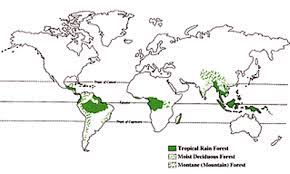 A tropical rainforest is one that lies between the tropic of cancer and the tropic of capricorn. Page1