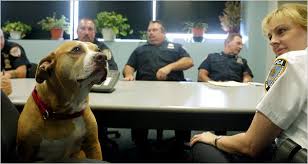 Dog walkers in the long island city area. For Animal Precinct Reality Subject To Dispute The New York Times