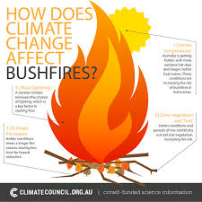 Bushfires And Climate Change Infographic About How Climate Change Affects Bushfires Ew Climate Change Geography Natural Disasters
